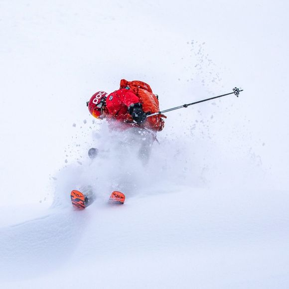 Meet your Posher, Keaton - Picture 1 of 1